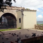 Parque de Las Palomas