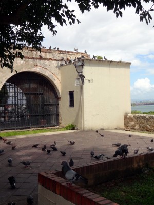 Parque de Las Palomas