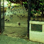 Parque de las Palomas 