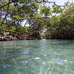 gilligans-island thumb